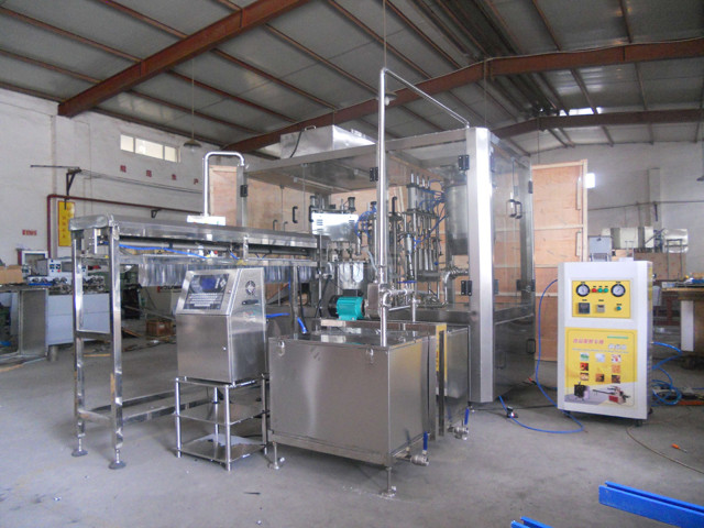 Stand up spout bags filling capping machine automatic at the