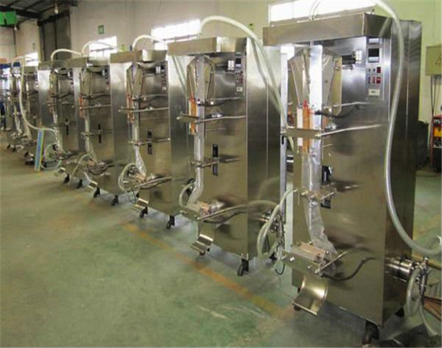 USA customer ordered YX-LP1000 Pouch packaging machine Vertical ffs packing equipment for liquid water juice sachet bags